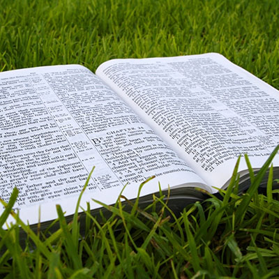 bibleingrassbox bibleingrassbox